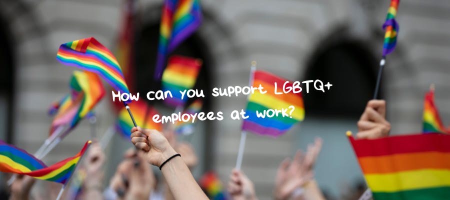 How can you support LGBTQIA+ employees at work?