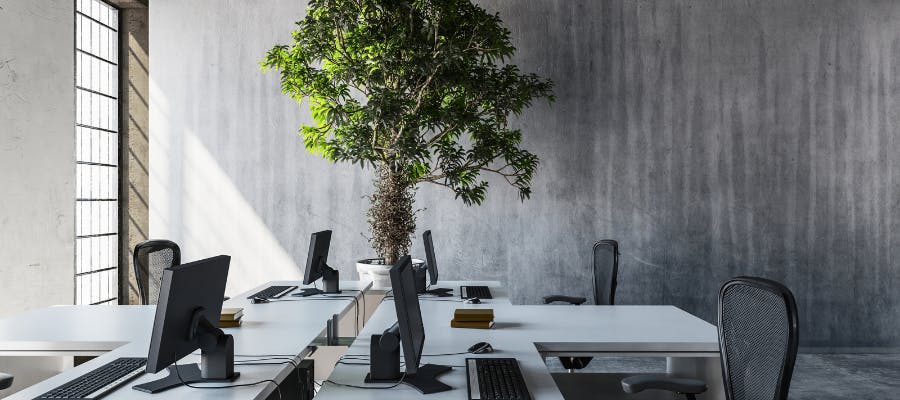 HR Heartbeat: Workplace absence at a 10-year high, three-day working week for over 50s, and…